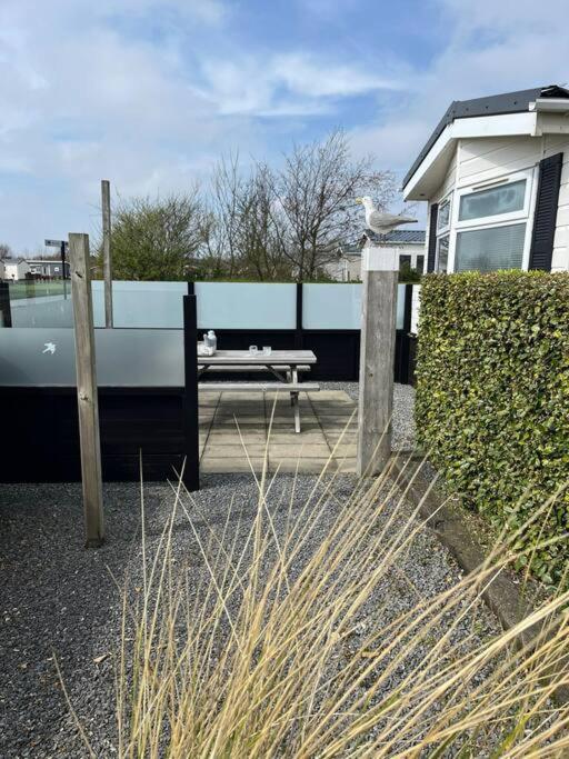 Chalet + Tiny House Nabij Strand Petten Ngoại thất bức ảnh