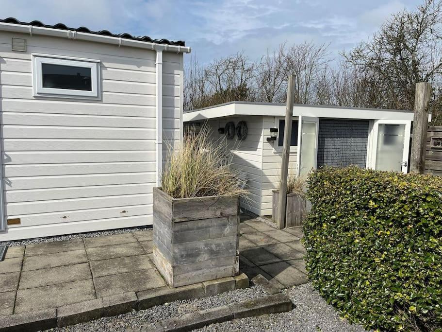 Chalet + Tiny House Nabij Strand Petten Ngoại thất bức ảnh