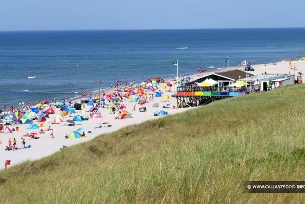 Chalet + Tiny House Nabij Strand Petten Ngoại thất bức ảnh